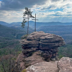 23-02-28 11-40-21 4461